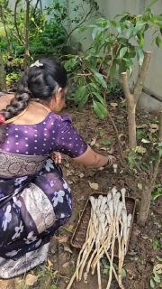 The cover of a single image post by mahi_sowji_gardening_and_vlogs on Instagram