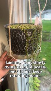 The cover of a single image post by curly_plant_mom on Instagram