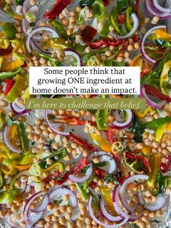 The cover of a carousel post by curlycultivators on Instagram