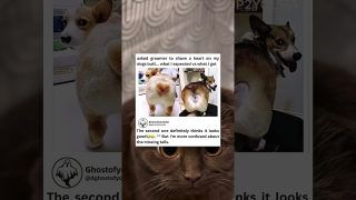 The cover of a Short post by dghostofyoutube on YouTube