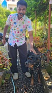 The cover of a single image post by d_groomers_chengannur on Instagram
